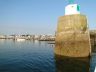 DSC00359.jpg