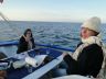 DSC00412.jpg