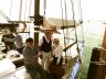 Equipage-estacade-NO.jpg