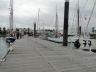 DSC00249.jpg