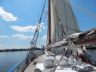 DSCN7729.jpg
