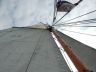 DSCN7916.jpg