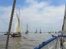 IMG_6383.jpg