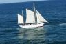 IMG-20201009-WA0004.jpg