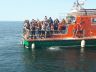 20200913_151048.jpg