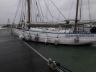 tempete-Alex.jpg