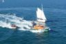 IMG-20201009-WA0005.jpg