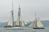 DSC_0184.jpg