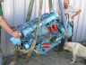 4-avis-du-chien.jpg