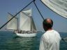 l'emigrant