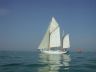 golfe du Morbihan