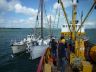 3 baliseurs au Golfe du Morbihan